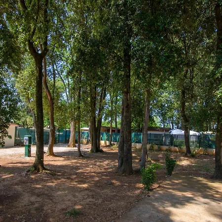 Centinera 3* Banjole